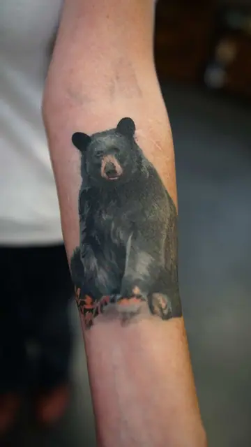 colour realism black bear tattoo on inner forearm