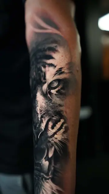 black and grey realism tiger tattoo on forearm