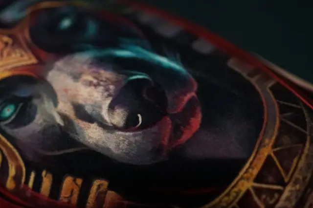 colour realism anubis dog tattoo close-up on skin