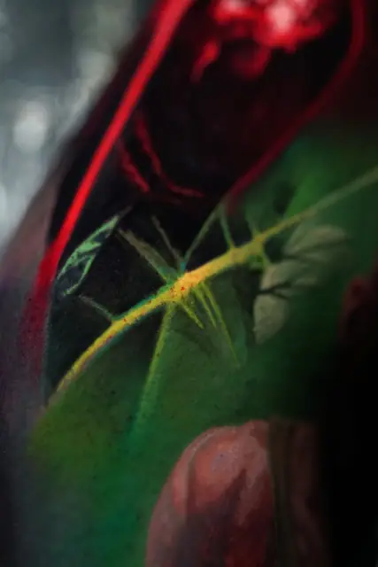 colour realism stick insect tattoo with foliage on skin